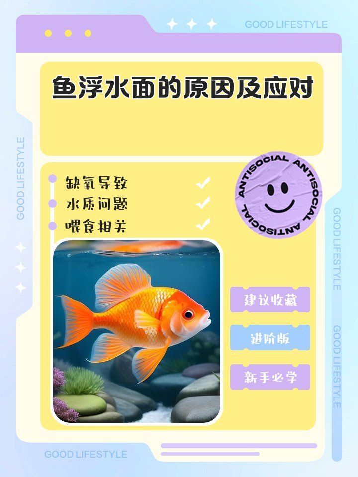 魚兒浮頭如何緊急處理，六一媽媽de時光機大揭秘：魚兒浮頭如何緊急處理