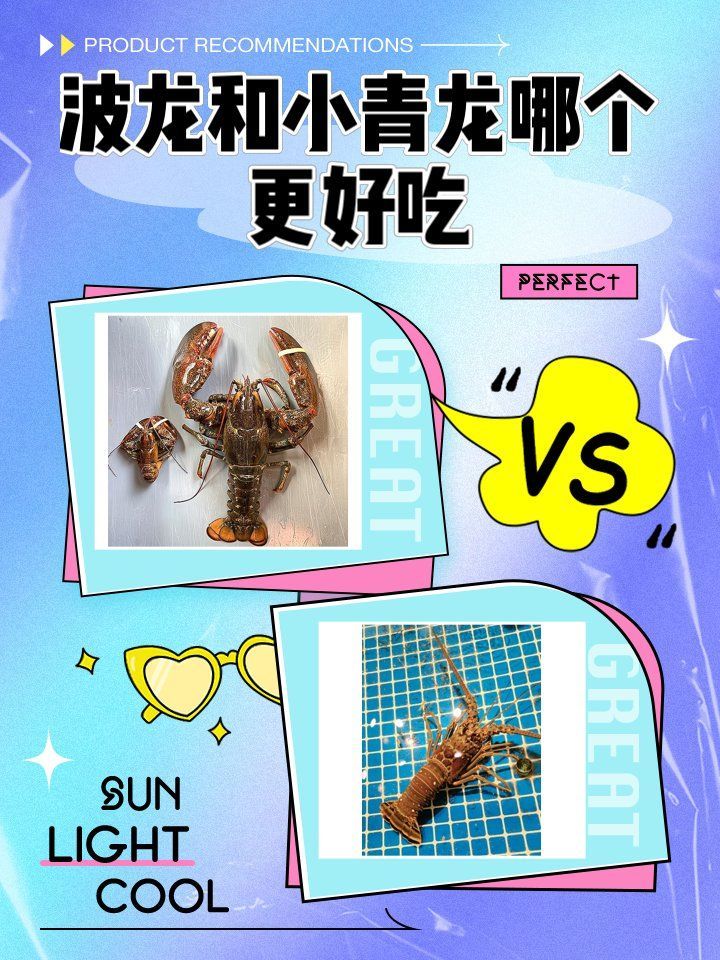 小青龍魚的價格是多少？，小青龍價格動態全解析