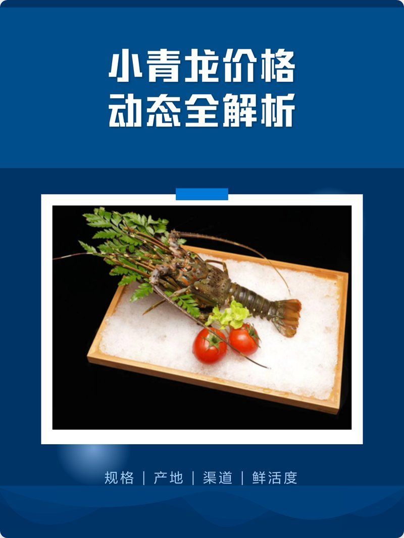 小青龍魚的價格是多少？，小青龍價格動態全解析