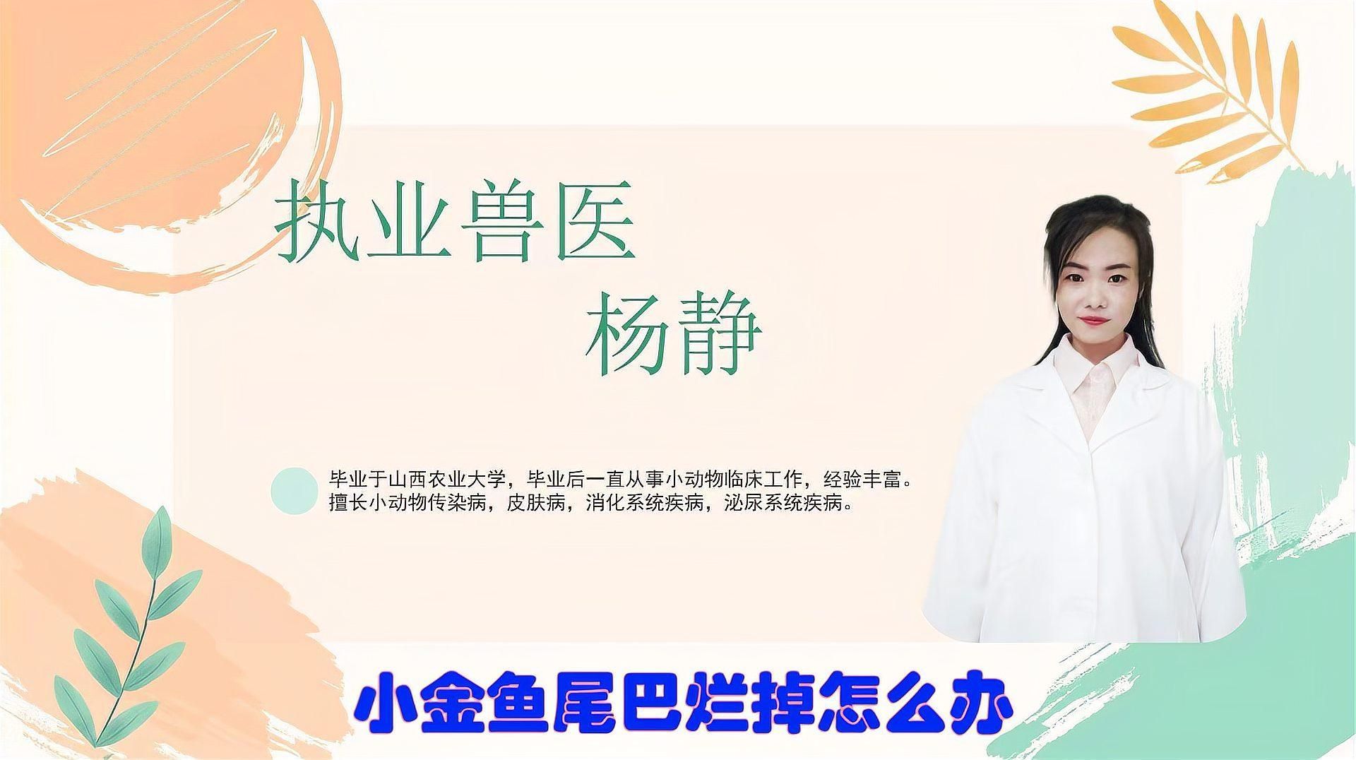 有哪些藥物可以治療金魚爛尾