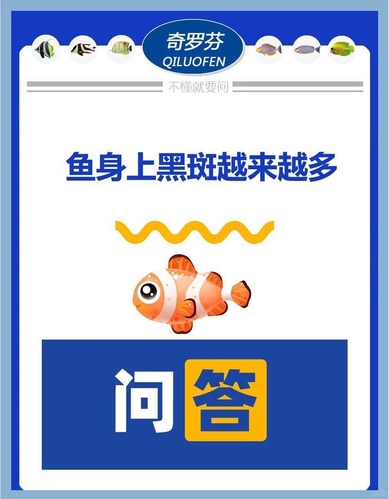 龍魚鱗片黑斑如何預防復發，龍魚鱗片黑斑復發的措施包括預防龍魚黑斑復發的措施