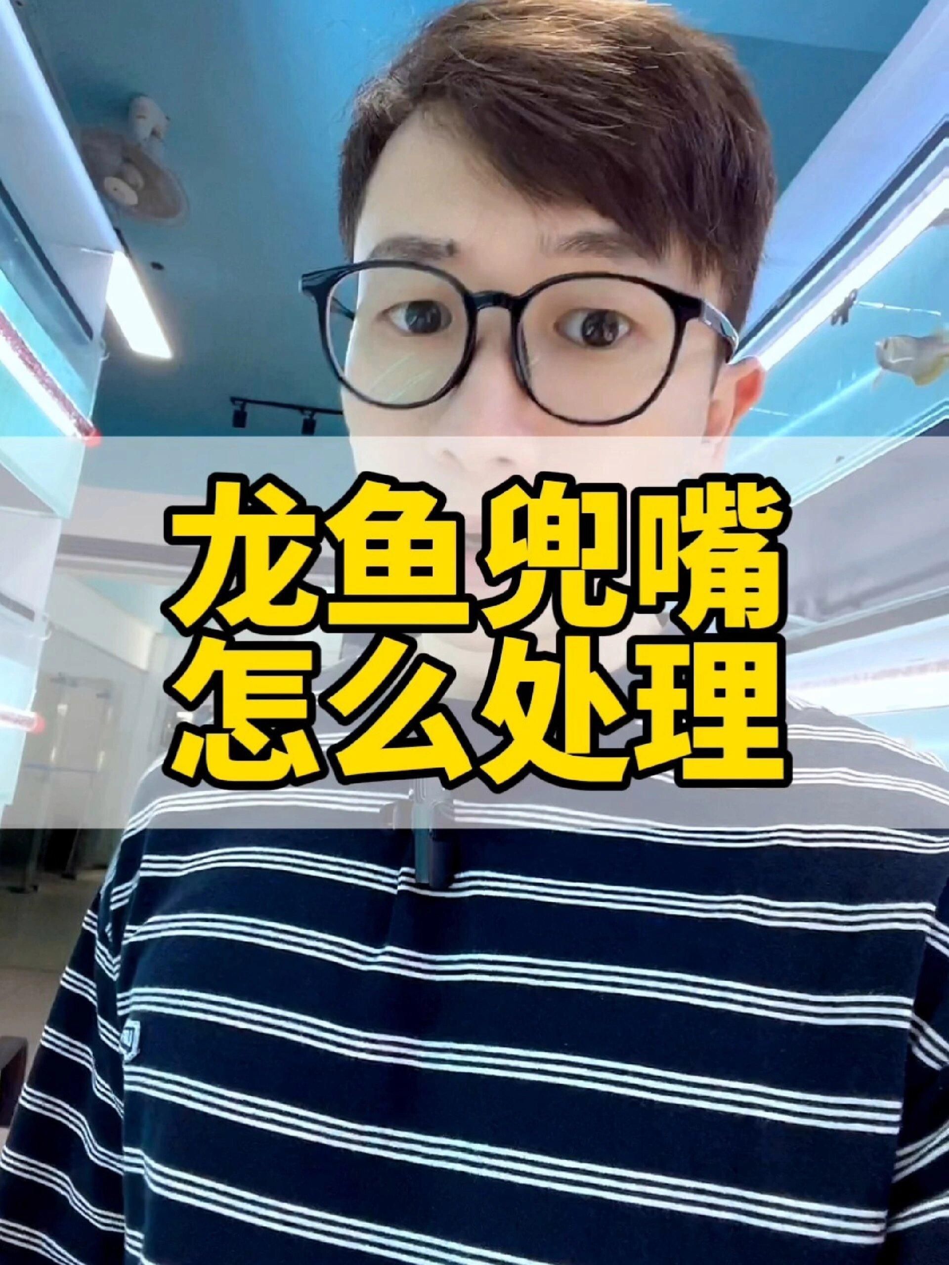 龍魚兜嘴會(huì)自行恢復(fù)嗎？，龍魚兜嘴怎么辦？