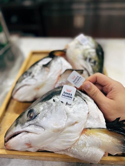 哪些魚類需要額外補充維生素，三文魚養殖技術——維生素c