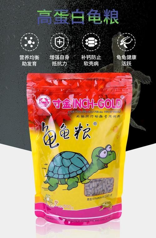 如何科學飼養烏龜，烏龜科學飼養指南