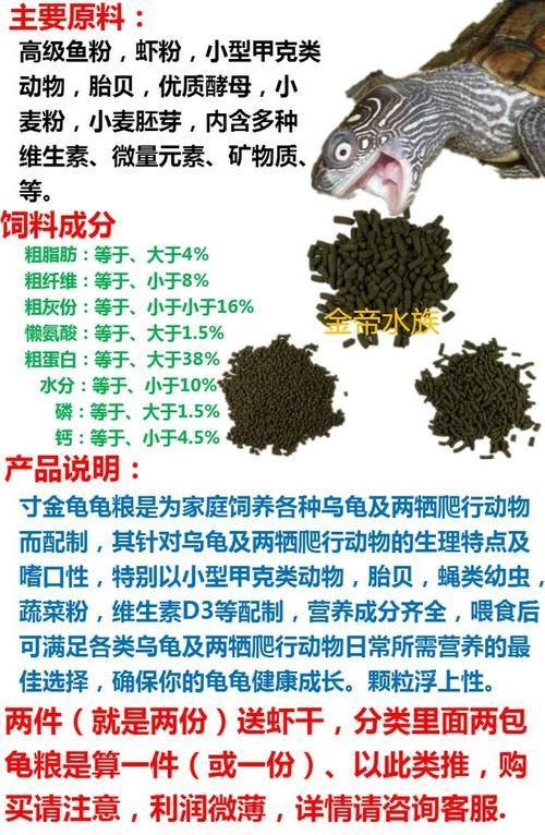 如何科學飼養烏龜，烏龜科學飼養指南