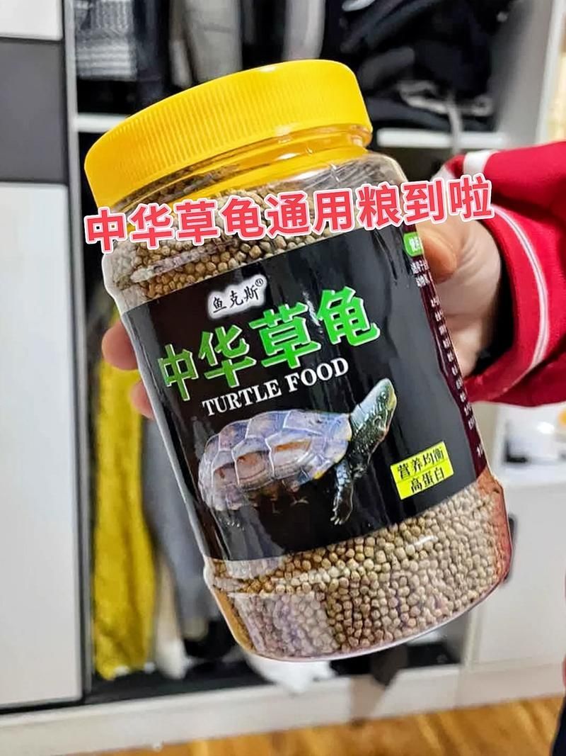 如何科學飼養烏龜，烏龜科學飼養指南