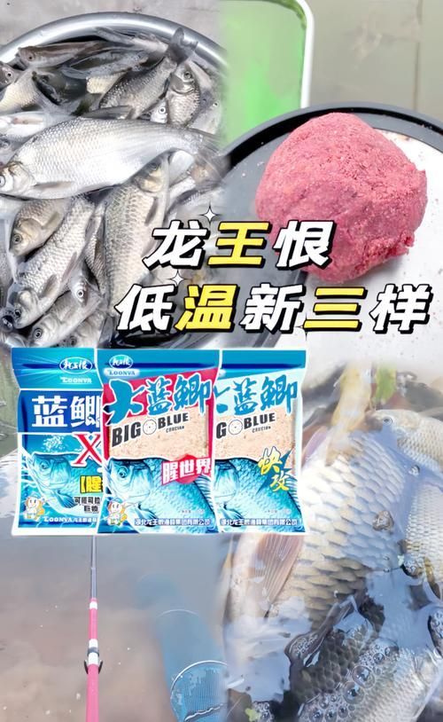有哪些適合2厘米龍魚的餌料？，2厘米龍魚喂養計劃表