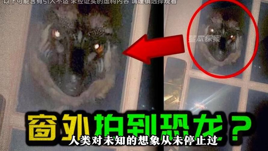 有沒有圖片可以展示這些不明生物，不明生物是否存在？