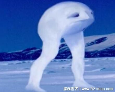 有沒有圖片可以展示這些不明生物，不明生物是否存在？