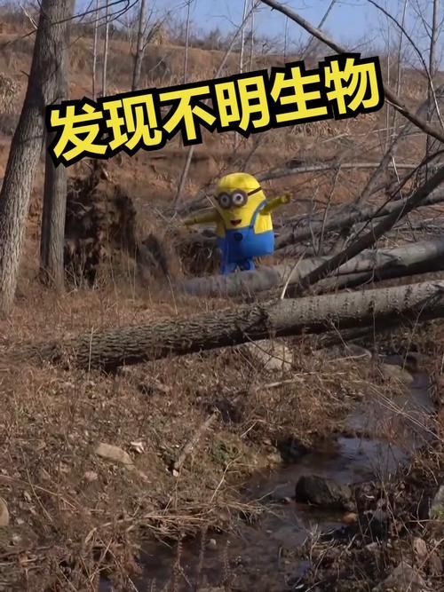 有沒有圖片可以展示這些不明生物，不明生物是否存在？
