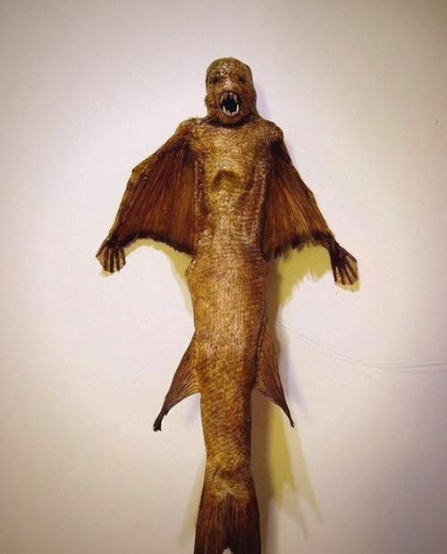 有沒有圖片可以展示這些不明生物，不明生物是否存在？