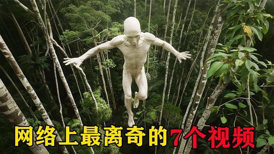 有沒有圖片可以展示這些不明生物，不明生物是否存在？