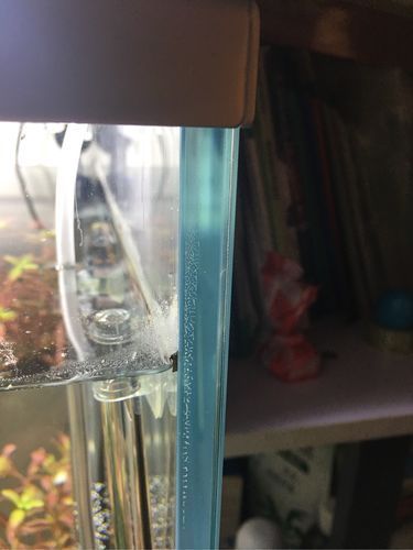 如何判斷魚缸的質量？，優質魚缸質量判斷魚缸質量的多維度核心信息判斷標準