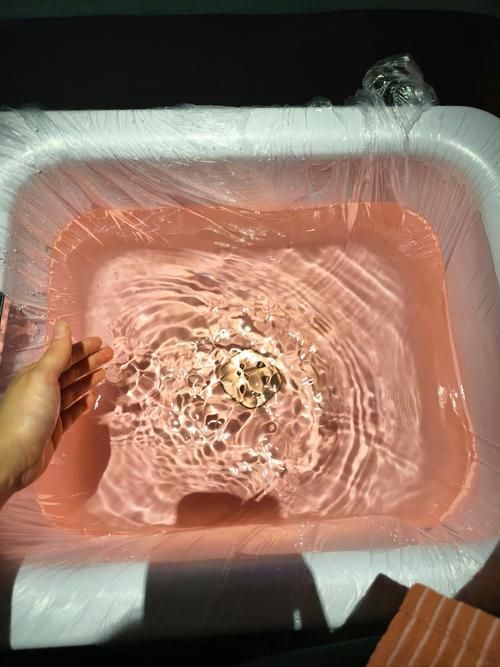 如何判斷魚缸的質量？，優質魚缸質量判斷魚缸質量的多維度核心信息判斷標準
