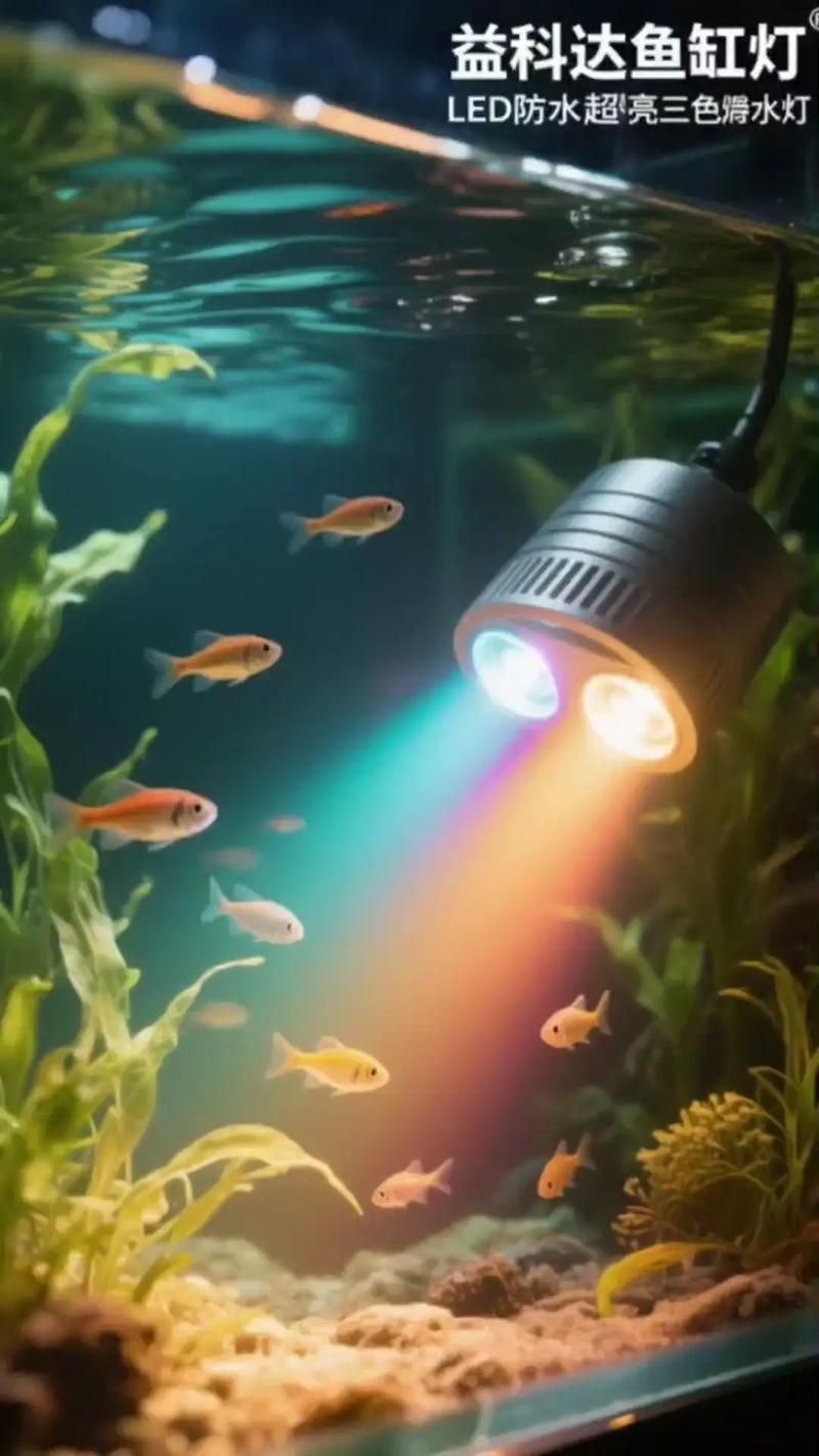 有哪些類型的魚缸燈光可供選擇？，常見的魚缸燈光類型