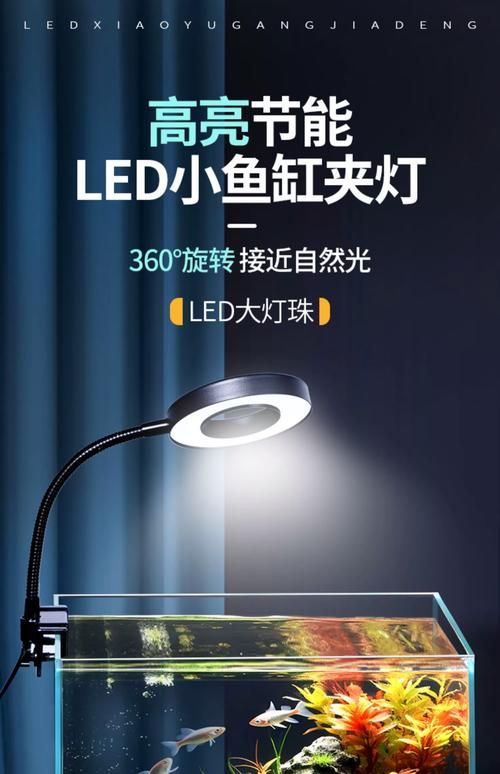 有哪些類型的魚缸燈光可供選擇？，常見的魚缸燈光類型