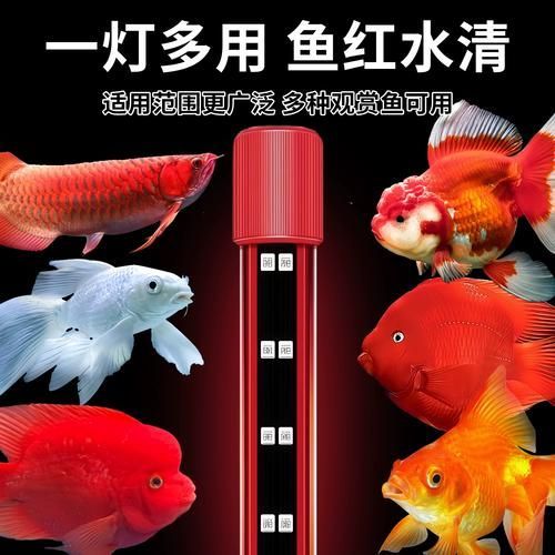 如何選擇適合魚缸的三色燈，適合魚缸的三色燈選購指南