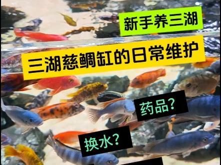 印尼大湖漁場產業聯盟的成員有哪些？，印尼大湖漁場產業聯盟
