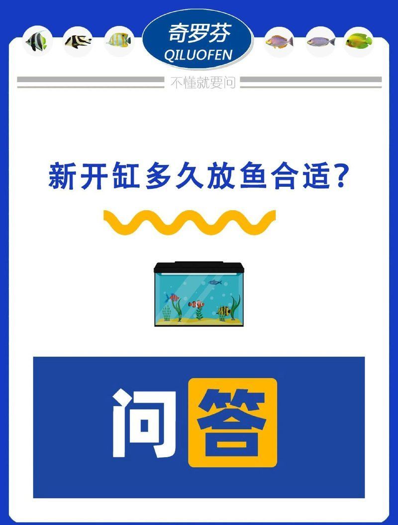 魚缸消毒后多久可以放魚，魚缸消毒后多久可以放新魚