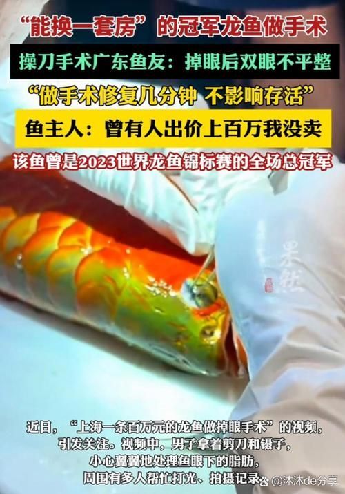 世界拍賣會上還有哪些高價龍魚？，世界拍賣會上最貴的龍魚，100萬美元一條，你知道嗎？