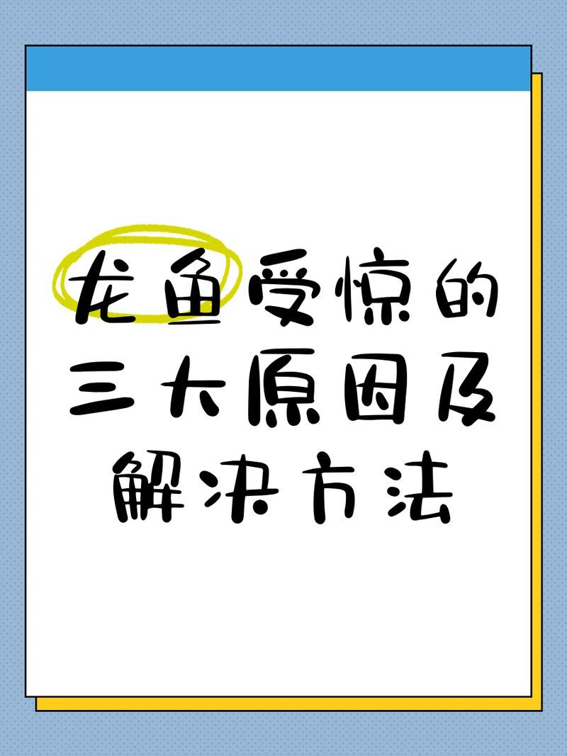 如何判斷金龍魚是否受驚？，金龍魚受到驚嚇會有哪些表現？