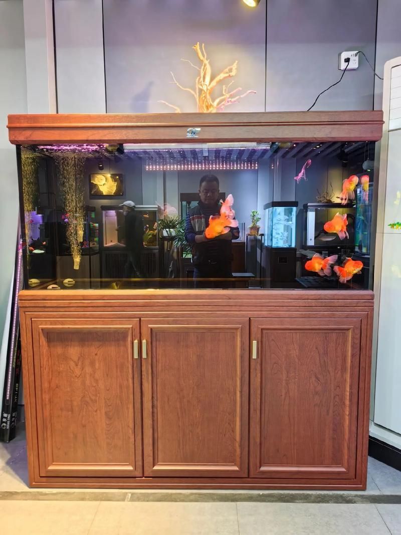 仟湖魚(yú)缸有哪些型號(hào)可選，仟湖魚(yú)缸哪個(gè)型號(hào)最受歡迎仟湖魚(yú)缸型號(hào)對(duì)比表