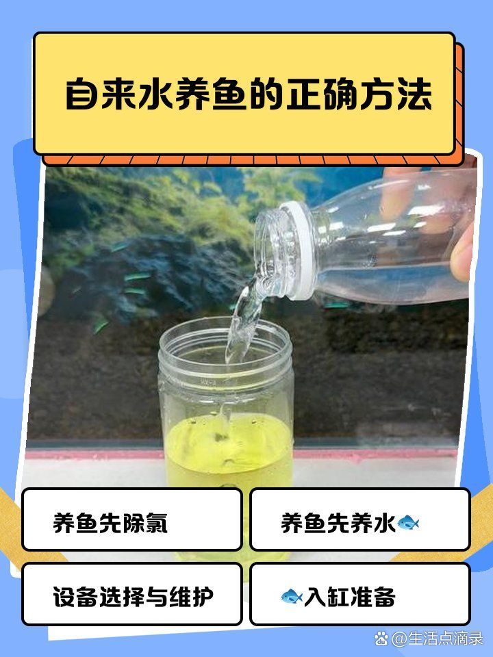 觀賞魚疾病預防指南，觀賞魚疾病預防