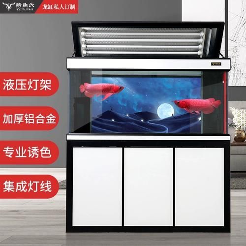 三基色龍魚燈有哪些型號推薦？，三基色龍魚燈哪個品牌好