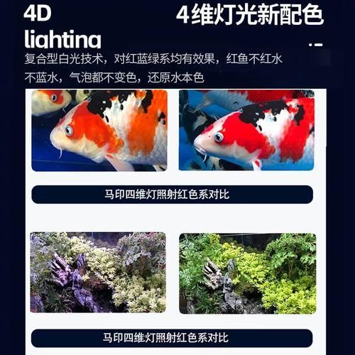 三基色龍魚燈有哪些型號推薦？，三基色龍魚燈哪個品牌好