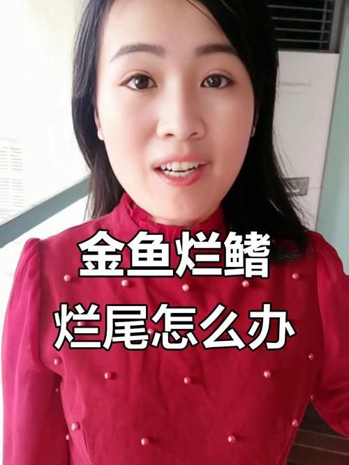 給我一些金魚爛尾巴潰爛的圖片，關(guān)于金魚爛尾巴潰爛的一些建議