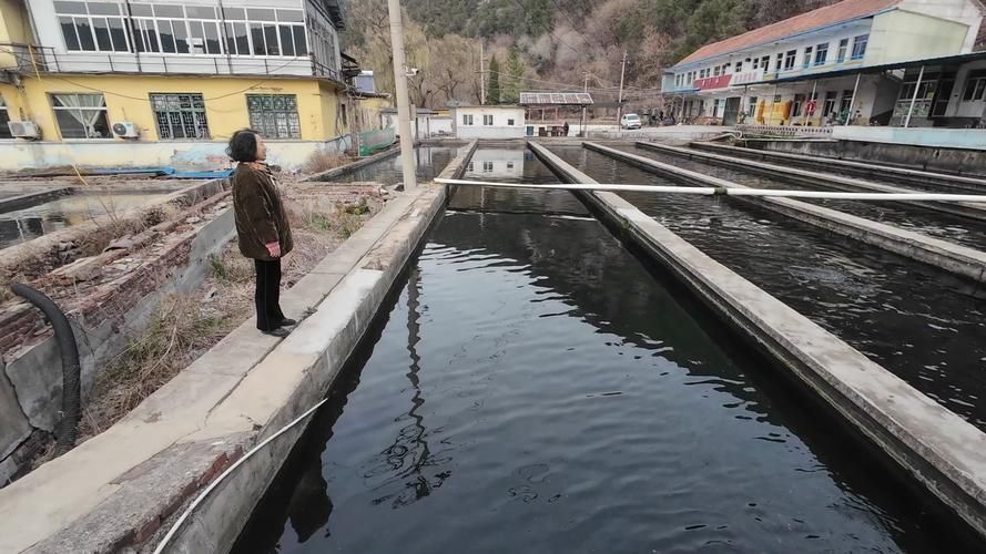 和政龍魚的養殖技術有哪些？，“和政龍魚”的養殖技術需要清潔、富含氧的水質管理 和政龍魚的養殖技術有哪些？，“和政龍魚”的養殖技術需要清潔、富含氧的水質管理 龍魚百科 第3張