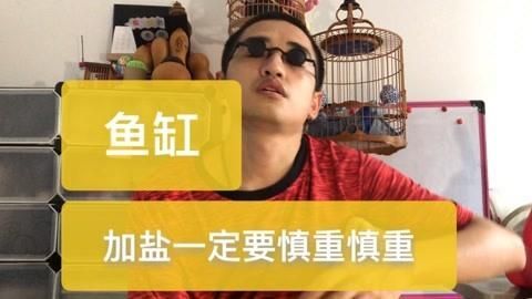 哪些魚不適合撒鹽，不是所有的魚都適合撒鹽