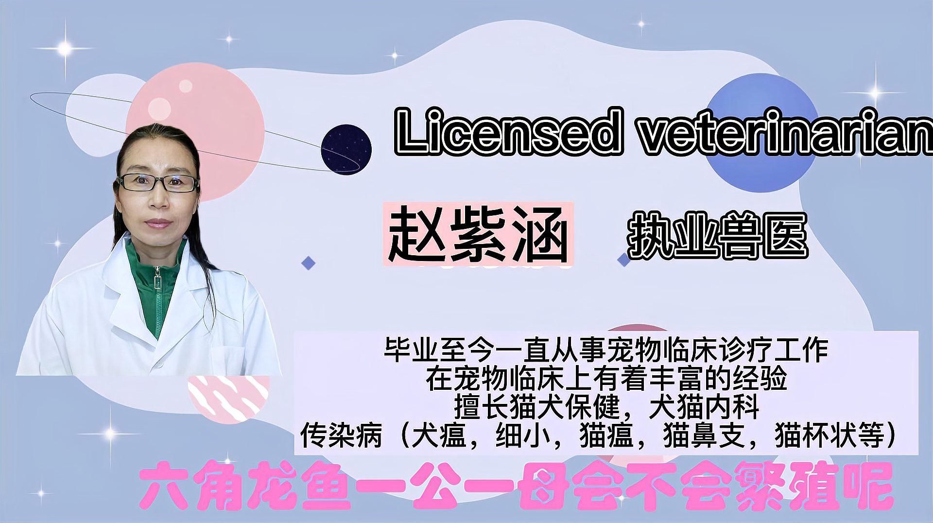 六角龍魚有哪些獨特的繁殖方式？，六角龍魚的繁殖方式 六角龍魚有哪些獨特的繁殖方式？，六角龍魚的繁殖方式 龍魚百科 第2張