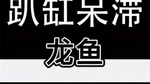 龍魚趴缸多久需要治療，龍魚“躺平”大揭秘,趴缸原因知多少