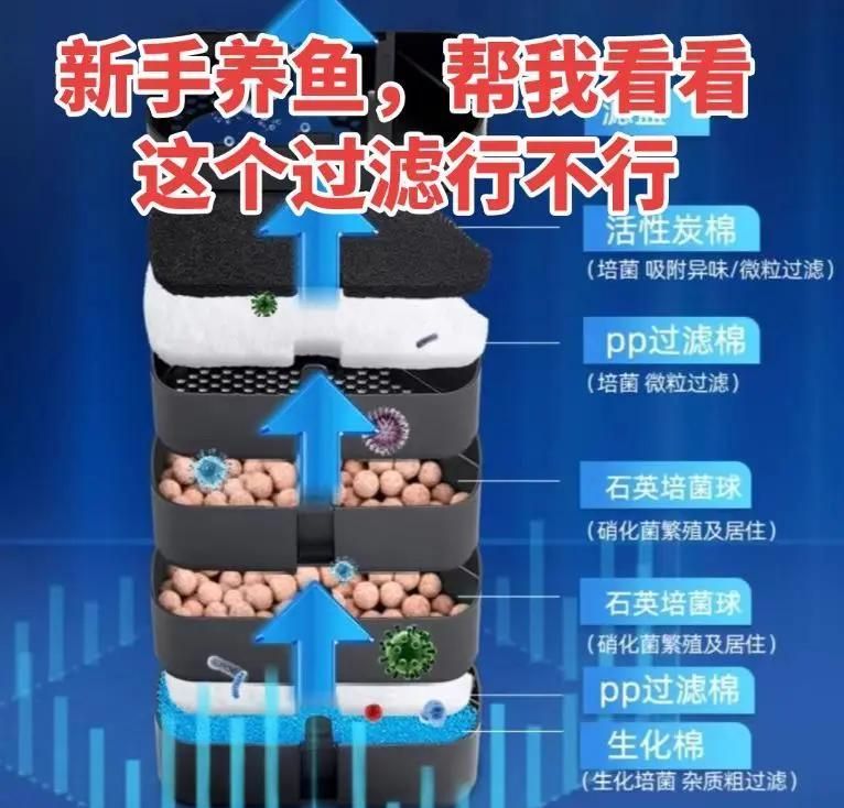 魚缸濾材多久更換一次？，如何判斷魚缸濾材是否需要更換？