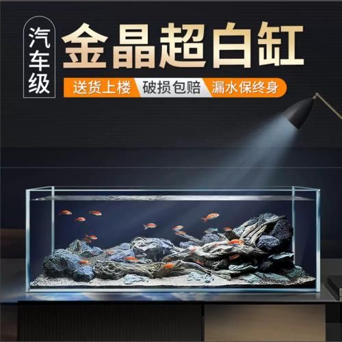 如何選擇適合的魚缸品牌？，2025年魚缸選購指南:2025魚缸十大品牌盤點