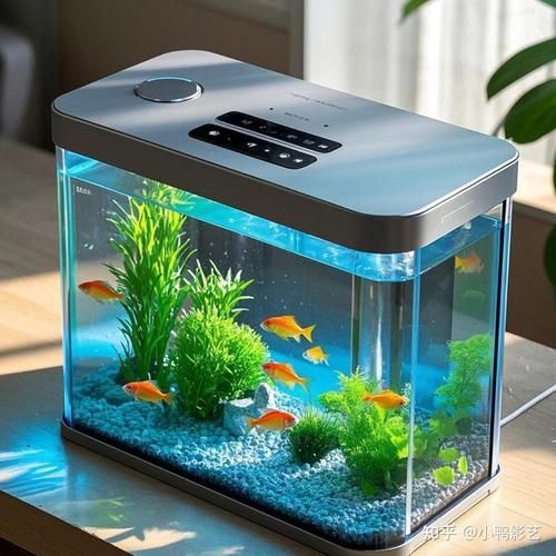 如何選擇適合的魚缸品牌？，2025年魚缸選購指南:2025魚缸十大品牌盤點