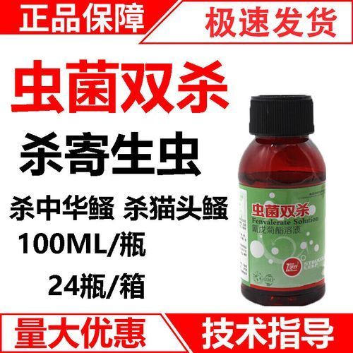 如何預(yù)防魚類的細(xì)菌感染，水產(chǎn)養(yǎng)殖中魚類細(xì)菌感染的預(yù)防