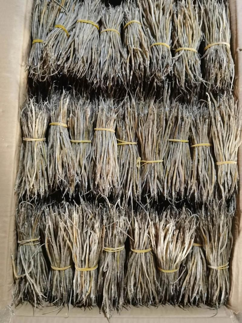海龍干藥材有哪些品質(zhì)鑒別方法，如何判斷海龍干的品牌好壞？