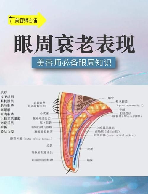 蒙眼和凸眼哪個更嚴(yán)重
