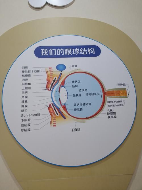 蒙眼和凸眼哪個更嚴(yán)重