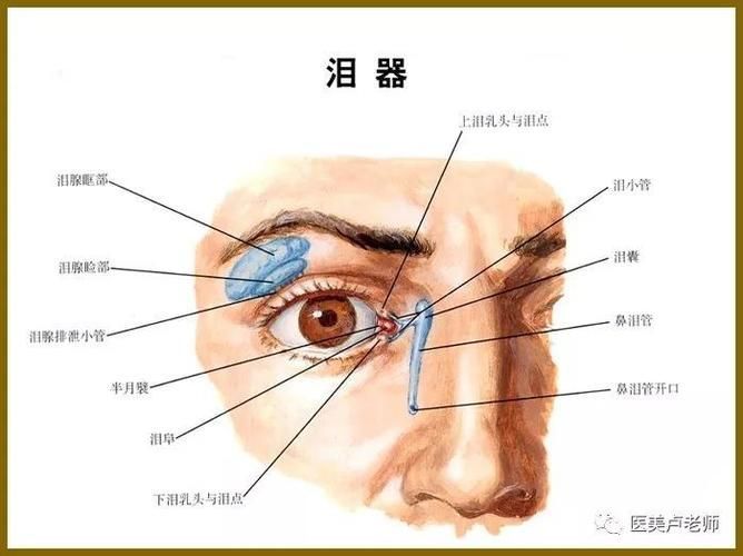 蒙眼和凸眼哪個更嚴(yán)重