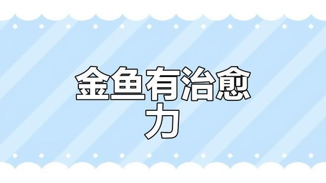 魚蒙眼可以自愈嗎，如何判斷觀賞魚蒙眼是否嚴重