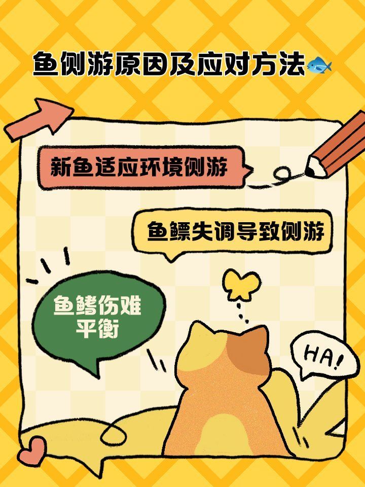 如何調(diào)整龍魚燈光以避免側(cè)游