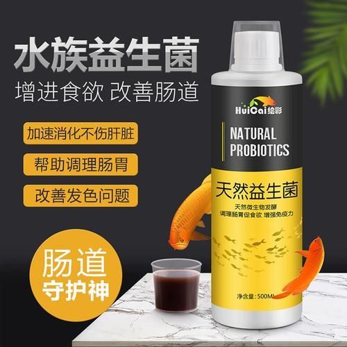 益生菌對龍魚有哪些具體作用？，益生菌對龍魚有什么作用？