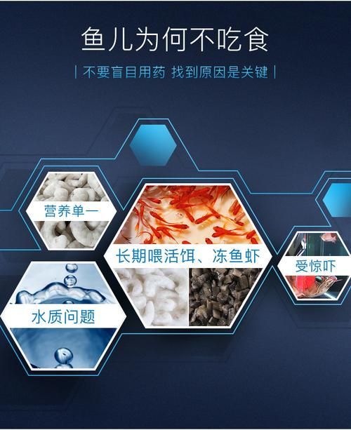 益生菌對龍魚有哪些具體作用？，益生菌對龍魚有什么作用？