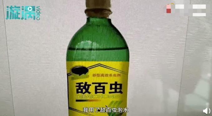 哪種魚缸殺蟲藥效果最好，如何選擇合適的魚缸殺蟲藥