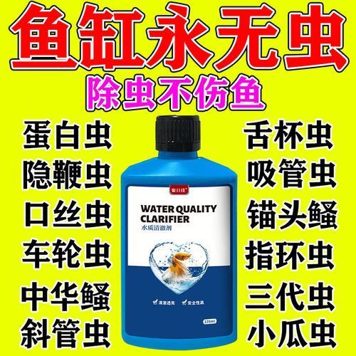 哪種魚缸殺蟲藥效果最好，如何選擇合適的魚缸殺蟲藥