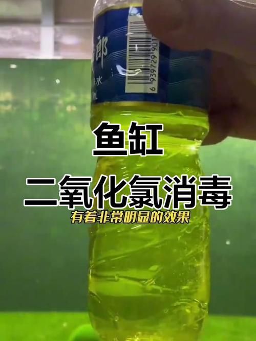 哪種魚缸殺蟲藥效果最好，如何選擇合適的魚缸殺蟲藥