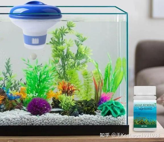 哪種魚缸殺蟲藥效果最好，如何選擇合適的魚缸殺蟲藥